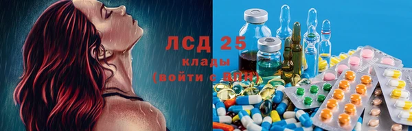 ECSTASY Каменка