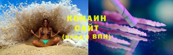 ПСИЛОЦИБИНОВЫЕ ГРИБЫ Каменногорск