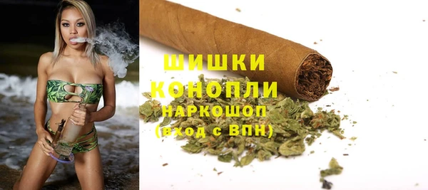 ECSTASY Каменка