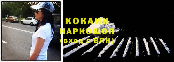 ECSTASY Каменка