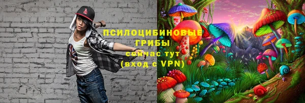 ECSTASY Каменка