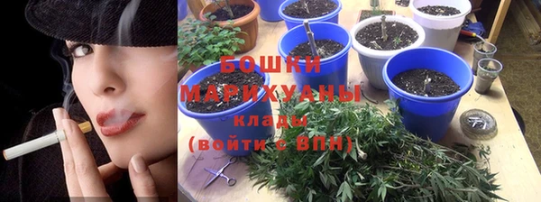 ПСИЛОЦИБИНОВЫЕ ГРИБЫ Каменногорск