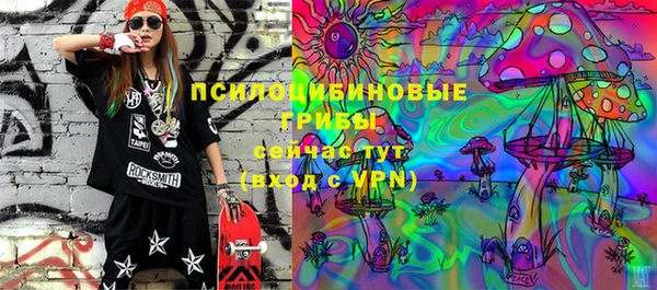 тгк Каменск-Шахтинский