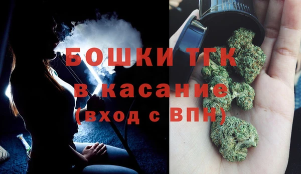 ECSTASY Каменка