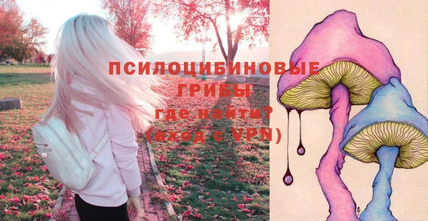тгк Каменск-Шахтинский