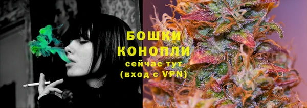 ECSTASY Каменка
